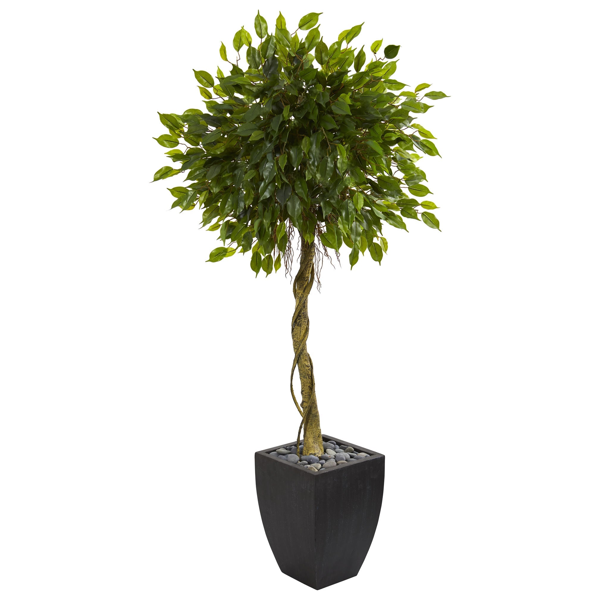 5.5' Ficus Artificial Tree in Black Wash Planter UV Resistant