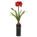 40"  Amaryllis Artificial Plant in Garden Planter