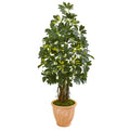 4.5' Schefflera Artificial Tree in Terra Cotta Planter