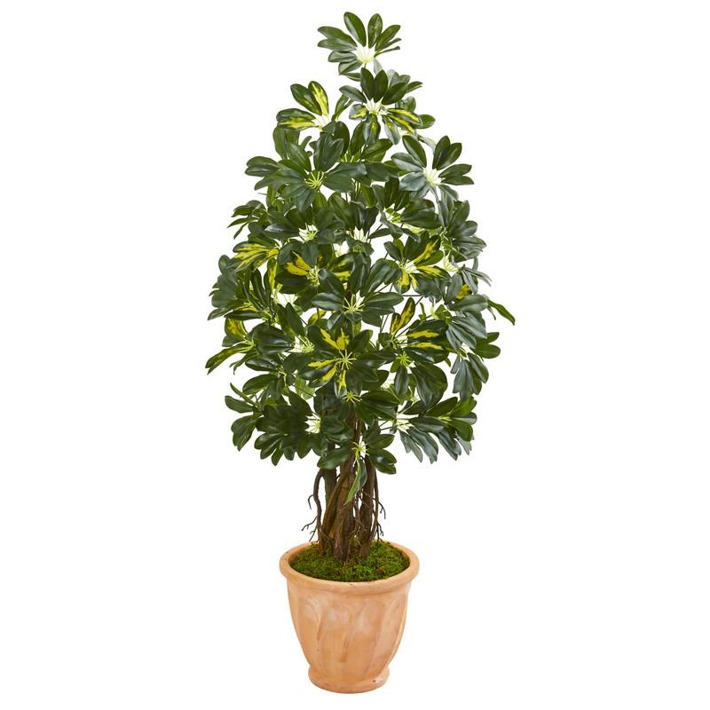 4.5' Schefflera Artificial Tree in Terra Cotta Planter