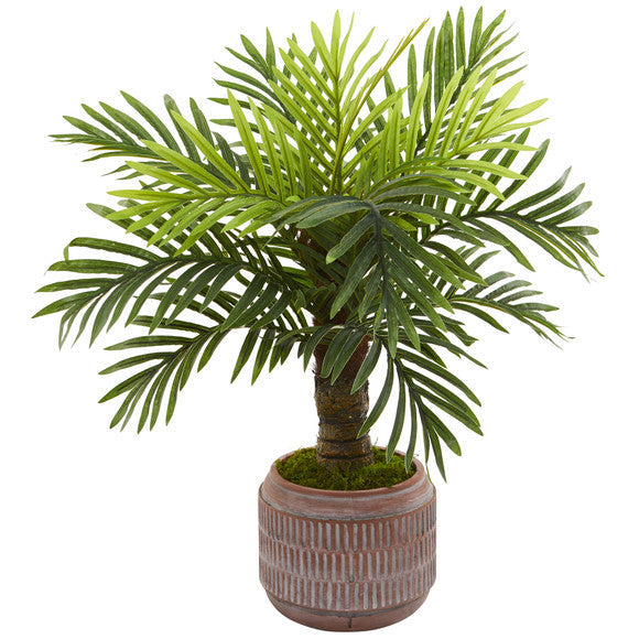27" Robellini Palm Artificial Tree in Stoneware Planter