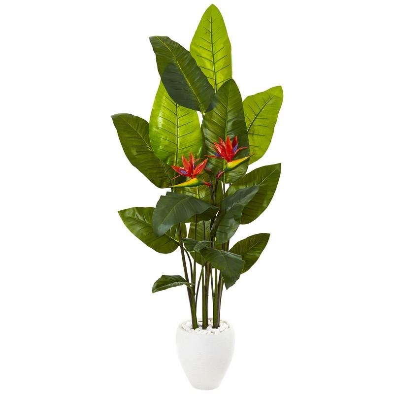 70"  Bird of Paradise Artificial Plant in White Planter (Real Touch)
