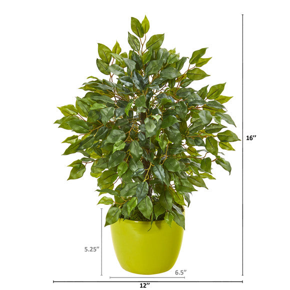 16" Mini Ficus Artificial Tree in Green Planter