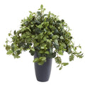31"  Dusty Miller Artificial Plant in Gray Planter