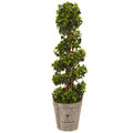 4' English Ivy Tree in Farmhouse Planter UV Resistant (Indoor/Outdoor)