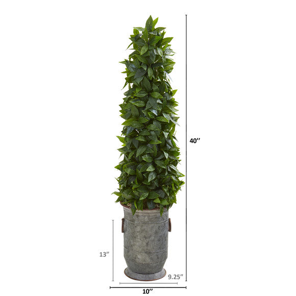 40" Sweet Bay Cone Topiary Artificial Tree in Vintage Metal Planter
