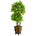 6' Maple Artificial Tree in Decorative Planter