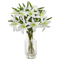 Lilly Artificial Arrangement in Glass Vase
