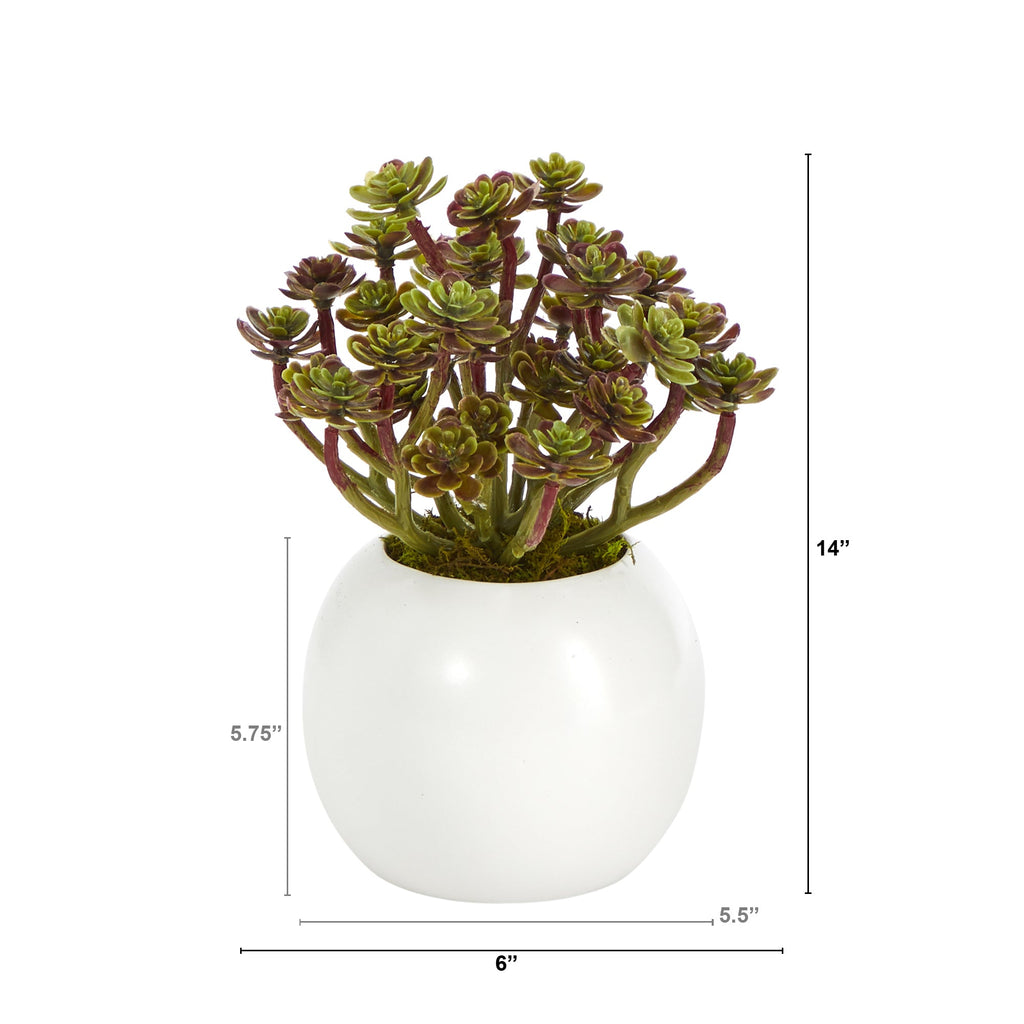 7" Sedum Succulent Artificial Plant in White Planter