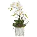 24" Phalaenopsis Orchid and Echeveria Succulent Artificial Arrangement