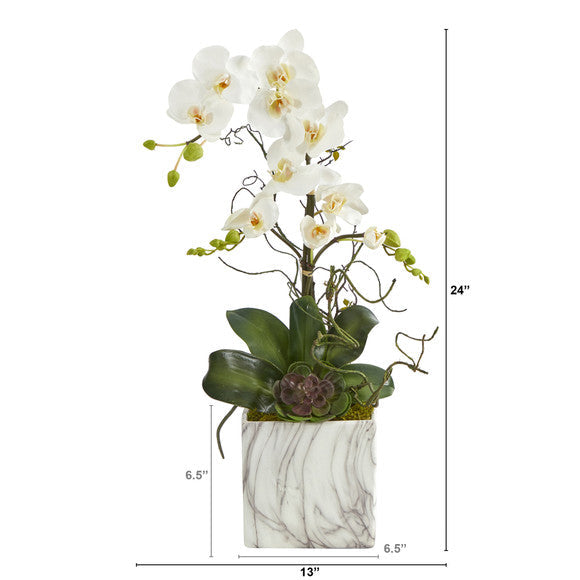24" Phalaenopsis Orchid and Echeveria Succulent Artificial Arrangement