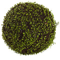 15"  Dia. Mohlenbechia Ball