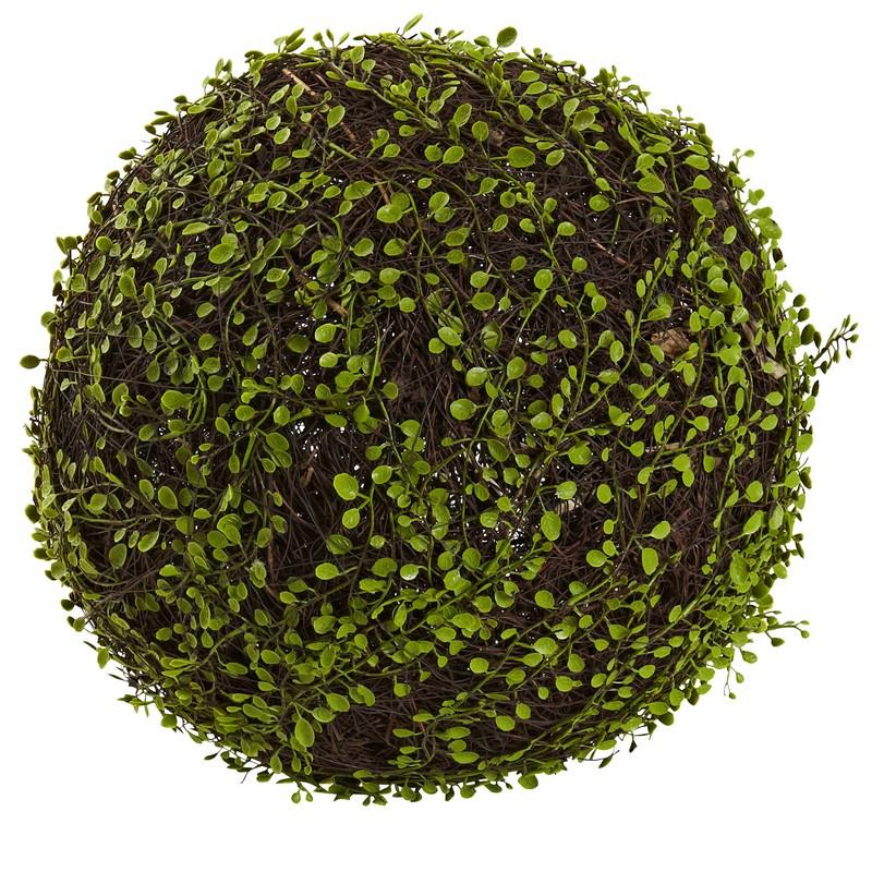 15"  Dia. Mohlenbechia Ball