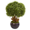38"  Boxwood Artificial Topiary Tree in Decorative Bowl (Indoor/Outdoor)