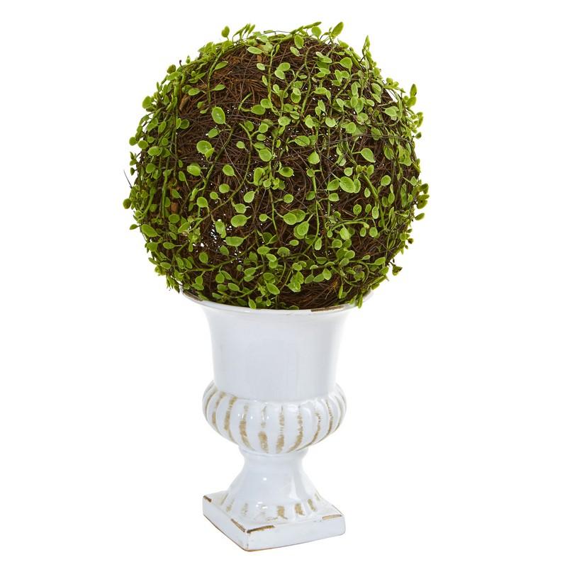 18"  Mohlenbechia Ball Topiary in White Urn