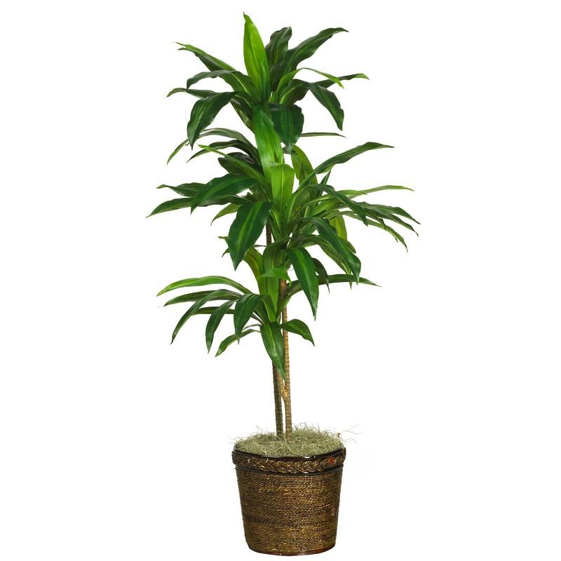 48" Dracaena w/Basket Silk Plant (Real Touch)