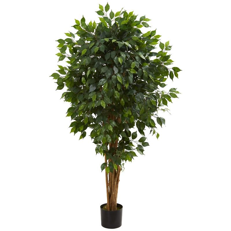 5.5' Ficus Artificial Tree 5569 By Nearly Natural