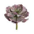 8"  Echeveria Succulent Artificial Plant (Set of 6)