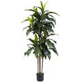 5' Dracaena Plant UV Resistant (Indoor/Outdoor)