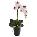 Phalaenopsis Orchid Artificial Arrangement in Black Vase