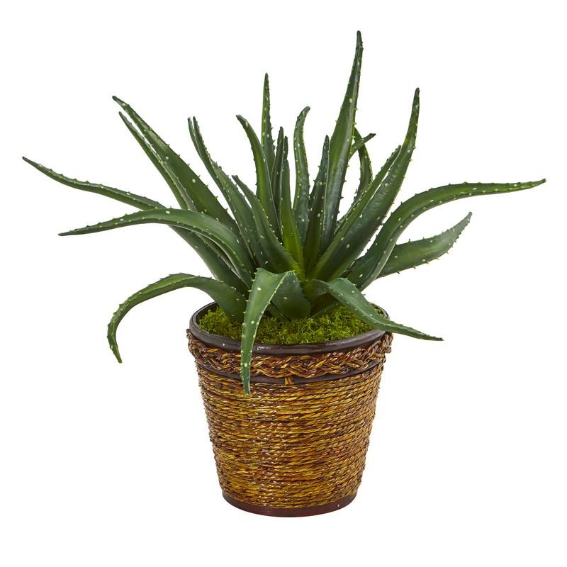 16"  Aloe Artificial Plant in Basket