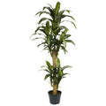 5' Yucca Silk Plant 6100 By Nearly Natural