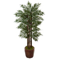 4.5' Parlour Palm Tree in Bamboo Planter