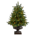 3.5' South Carolina Spruce Artificial Christmas Tree w/ 100 White Warm Light
