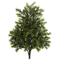 Sweet Grass Bush (Set of 2) (Indoor/Outdoor)
