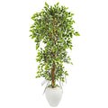 5.5' Elegant Ficus Artificial Tree in White Planter