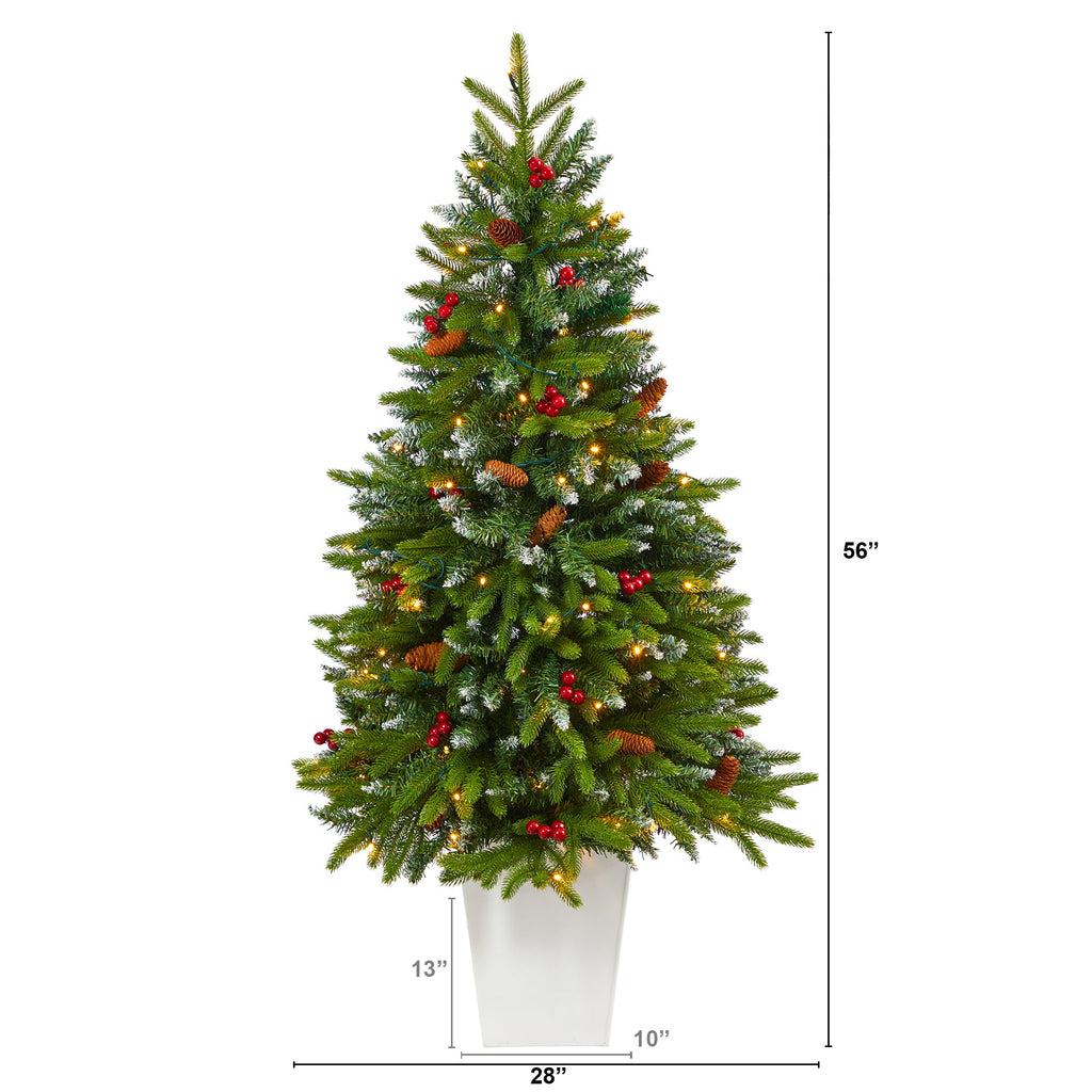 56' Snow Tipped Portl& Spruce Artificial Christmas Tree w/ Frosted Berries