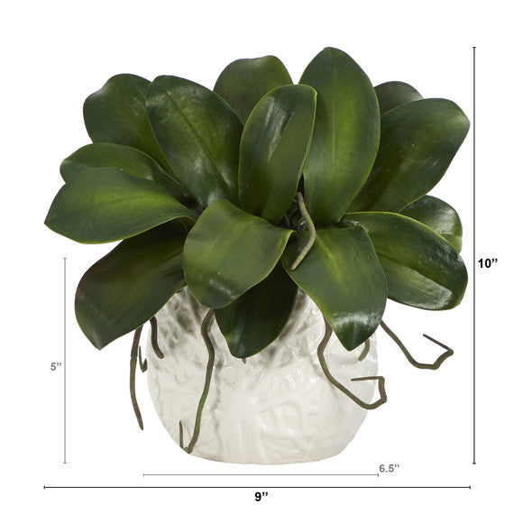 10" Phalaenopsis Orchid Leaf Artificial Plant in White Planter