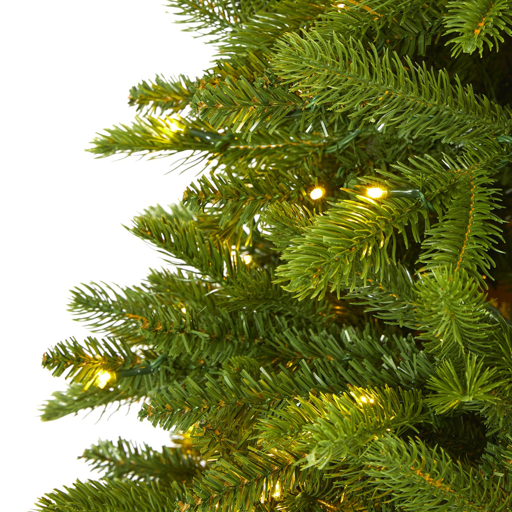 6' Sierra Spruce 'Natural Look' Artificial Christmas Tree w/ 300 Clear LED Light