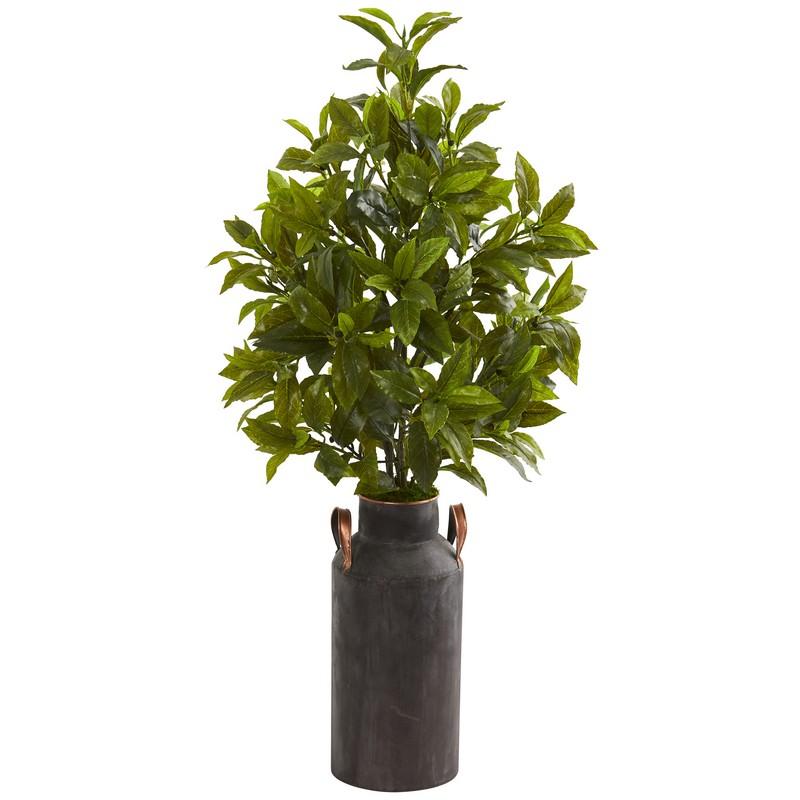 32"  Coffee Leaf Artificial Plant in Decorative Canister (Real Touch)