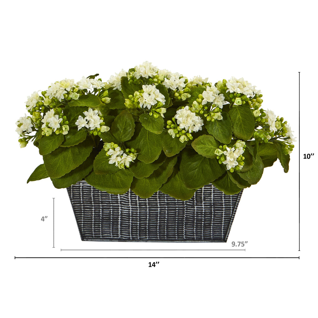 14" Kalanchoe Artificial Plant in Black Embossed Planter