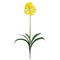 29" African Lily Stem (Set of 12)