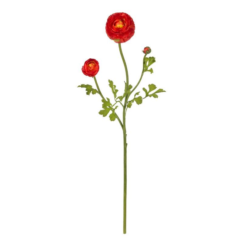 23" Ranunculus Stem (Set of 12)