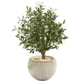 31" Olive Artificial Tree In Bowl Planter 9223 By Nearly Natural