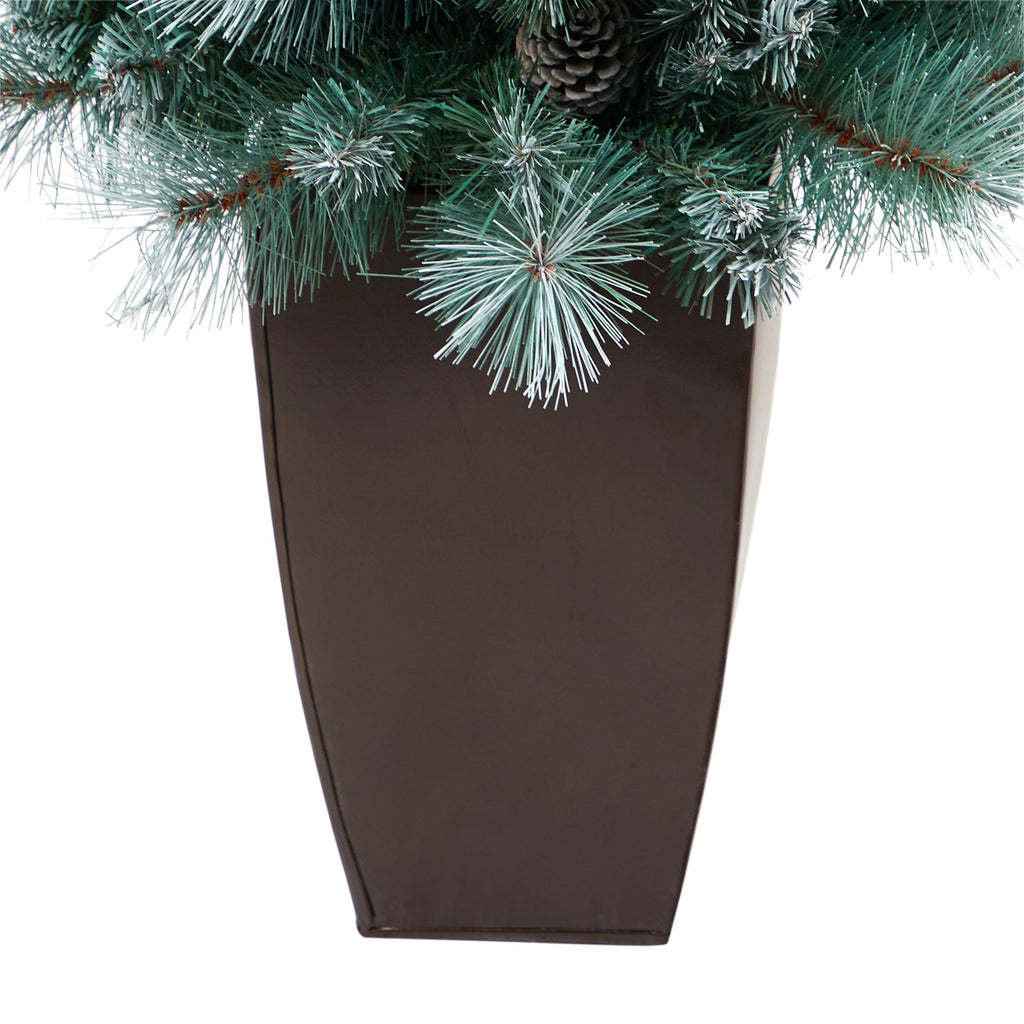 3.5' Frosted Tip British Columbia Mountain Pine Artificial Christmas Tree