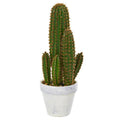 1.5"  Cactus Succulent Artificial Plant