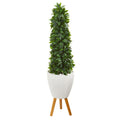 4' Sweet Bay Cone Topiary Artificial Tree in White Planter with Stand