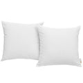 Convene 2 Piece Outdoor Patio Pillow Set by Modway