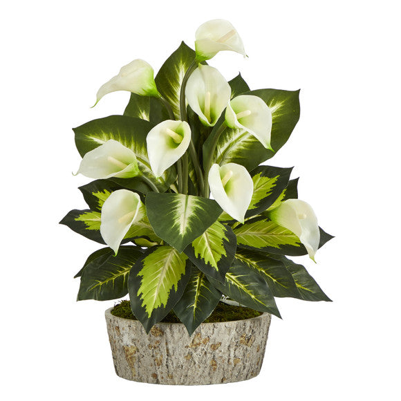 19" Calla Lily and Golden Dieffenbachia Artificial Plant