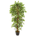 5' Elegant Ficus Artificial Tree