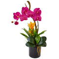 Orchid and Bromeliad in Glossy Black Cylinder