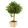 3' Olive Topiary Artificial Tree in Terra Cotta Planter UV Resistant
