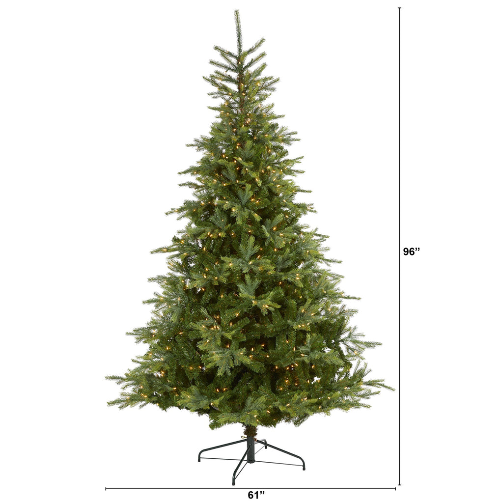8' North Carolina Spruce Artificial Christmas Tree w 650 Clear Lights