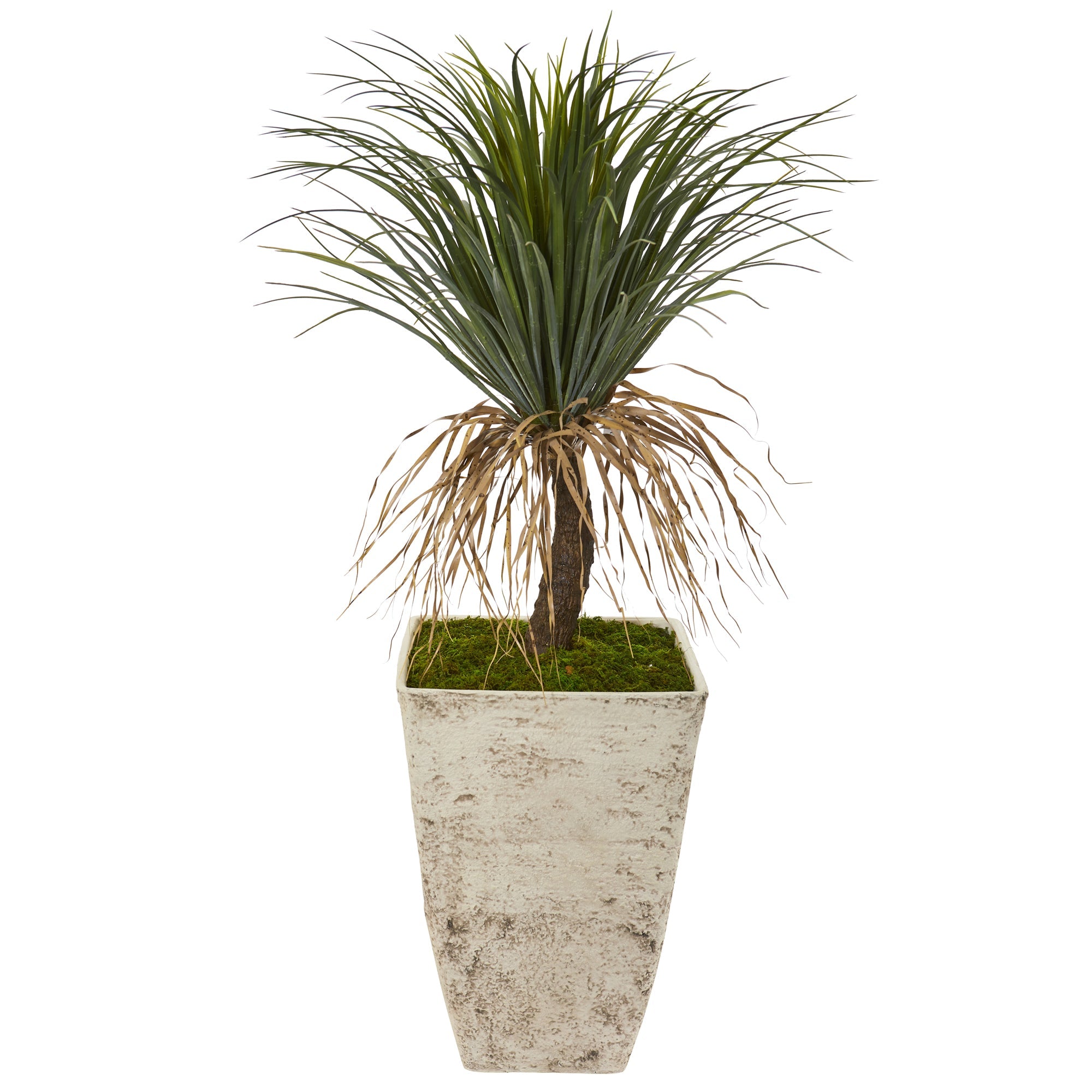 44" Pony Tail Palm Artificial Plant in Country White Planter