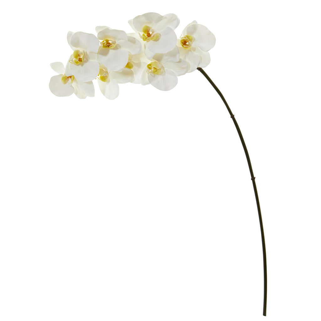 34" Phalaenopsis Orchid Artificial Flower (Set of 6)