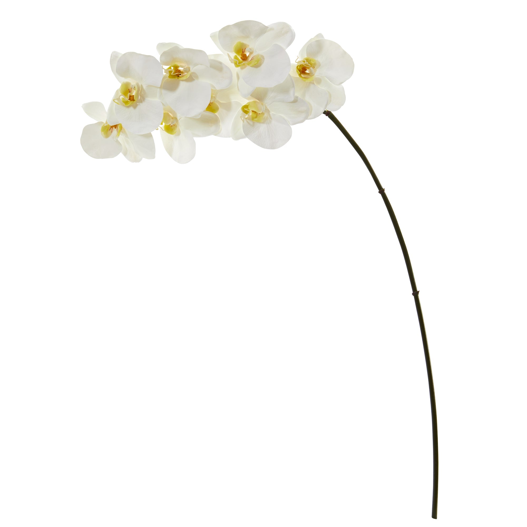 34" Phalaenopsis Orchid Artificial Flower (Set of 6)